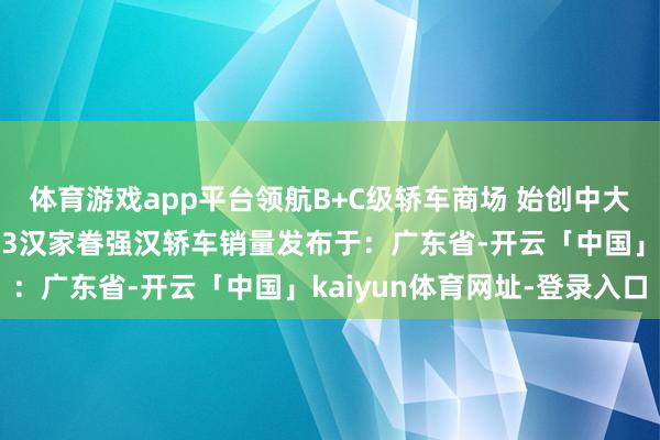 体育游戏app平台领航B+C级轿车商场 始创中大型轿车油耗3期间 油耗3汉家眷强汉轿车销量发布于：广东省-开云「中国」kaiyun体育网址-登录入口